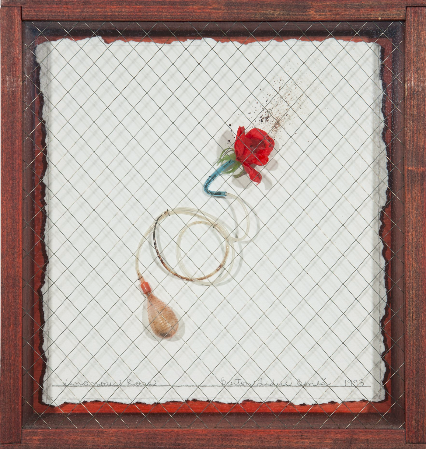 Lethal Weapons: Venomous Rose, 1993. Barton Lidicé Beneš / Cortesía de Pavel Zoubok Gallery