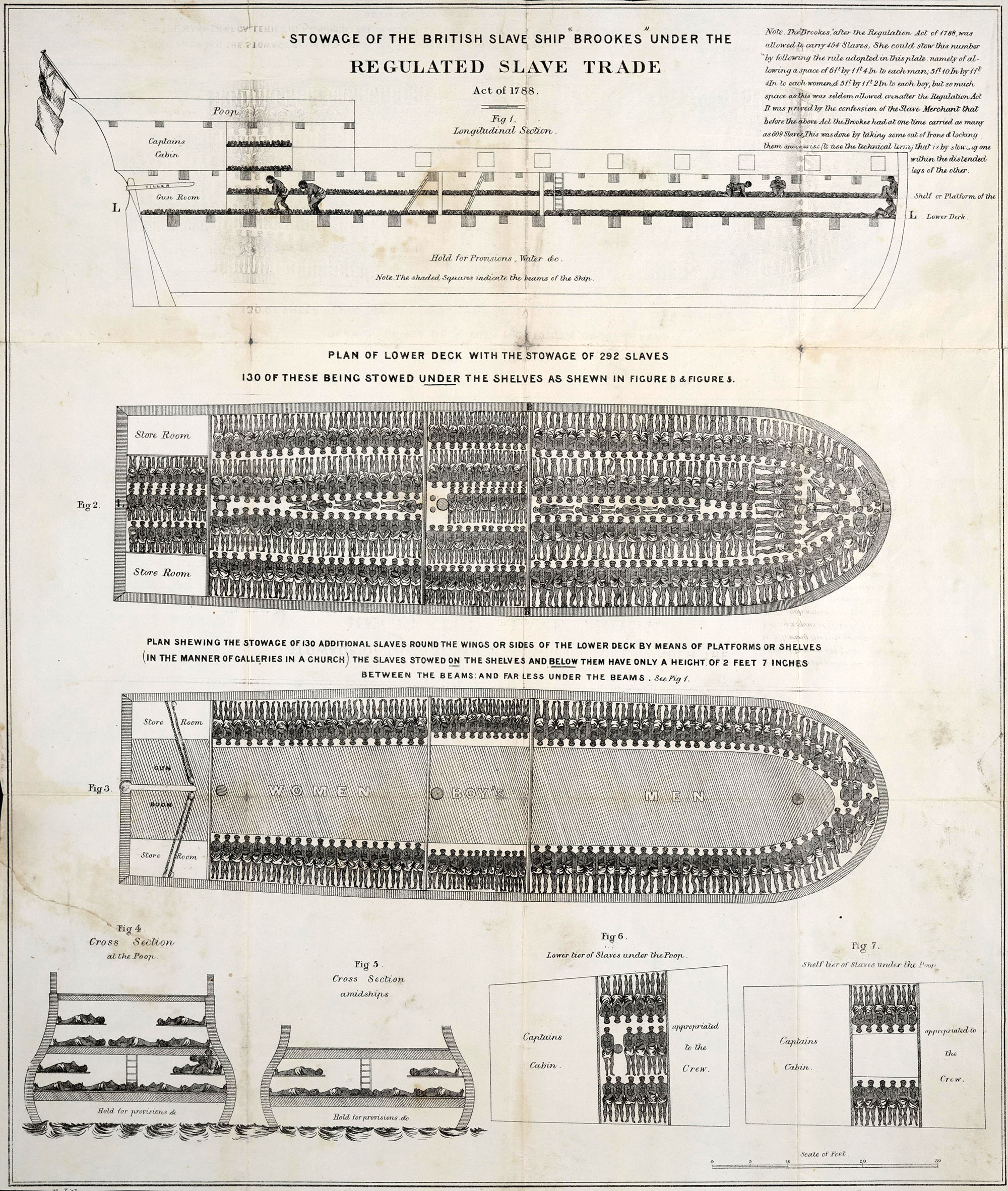 Plan of the British slave ship “Brookes” (1791)